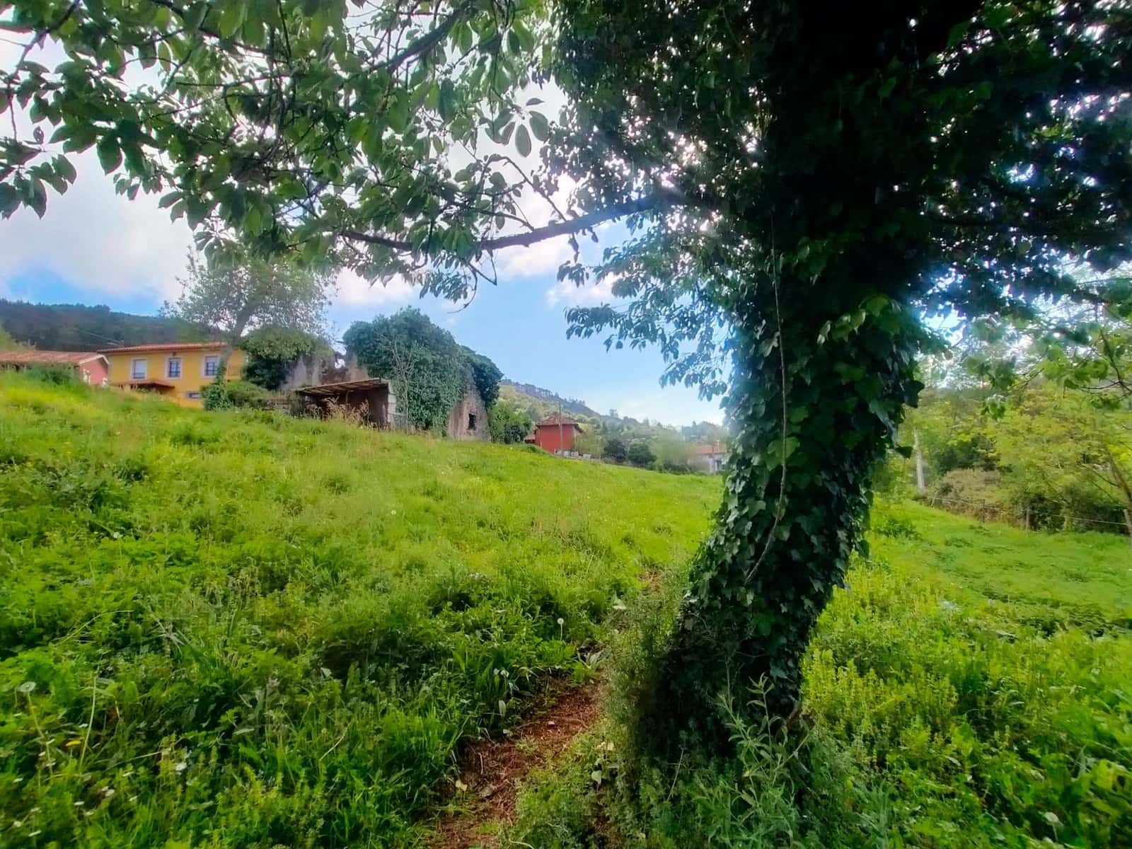 Ubebygd land til salgs i Candamo - € 68 000 (Ref: 8245312)