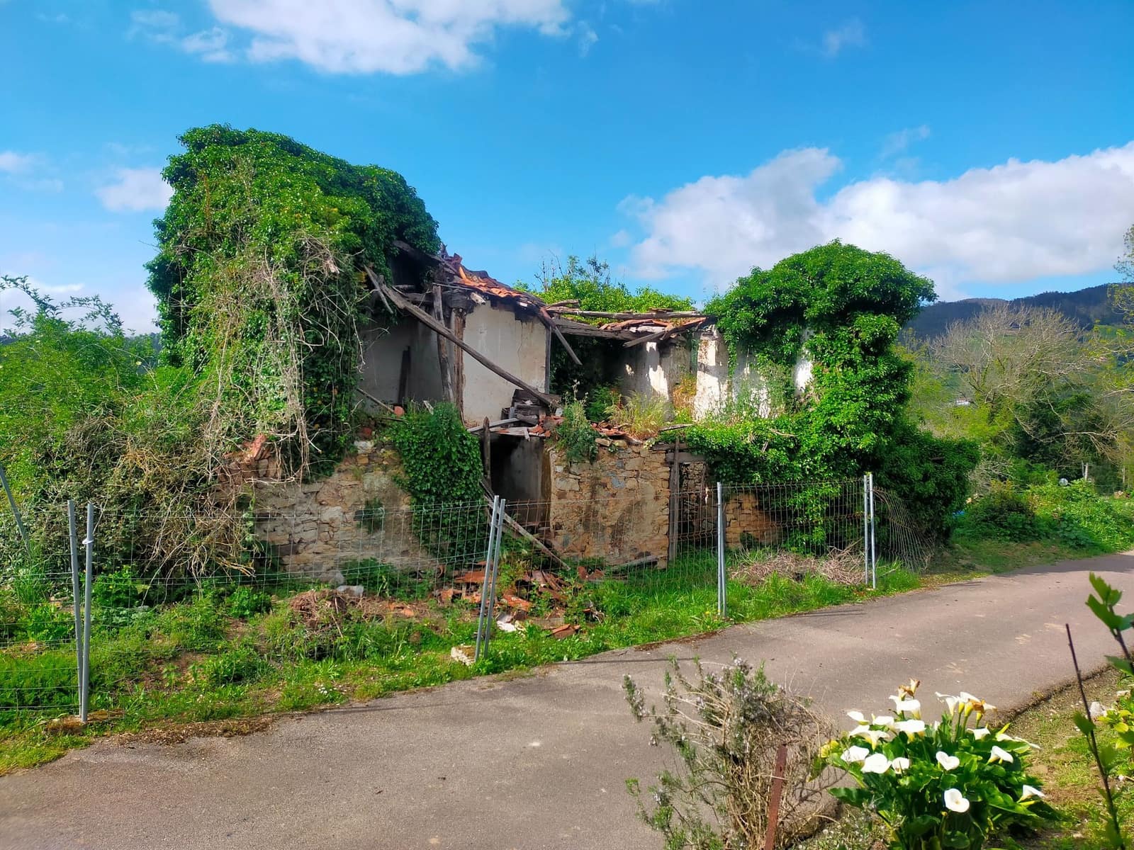 Ubebygd land til salgs i Candamo - € 68 000 (Ref: 8245312)