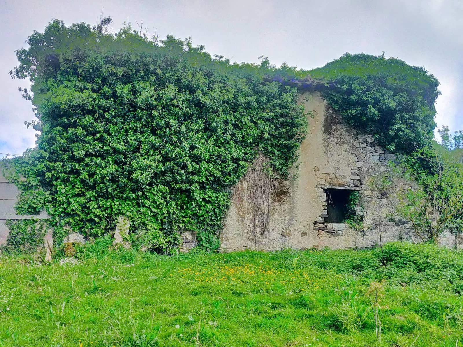 Ubebygd land til salgs i Candamo - € 68 000 (Ref: 8245312)