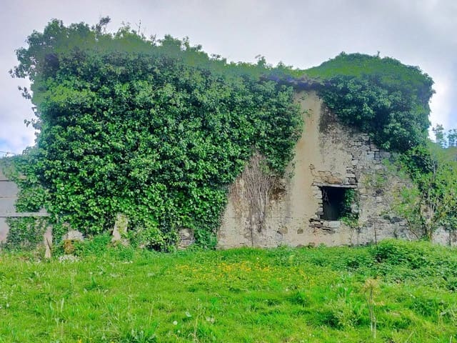 Mark till salu i Candamo - 68 000 € (Ref: 8245312)