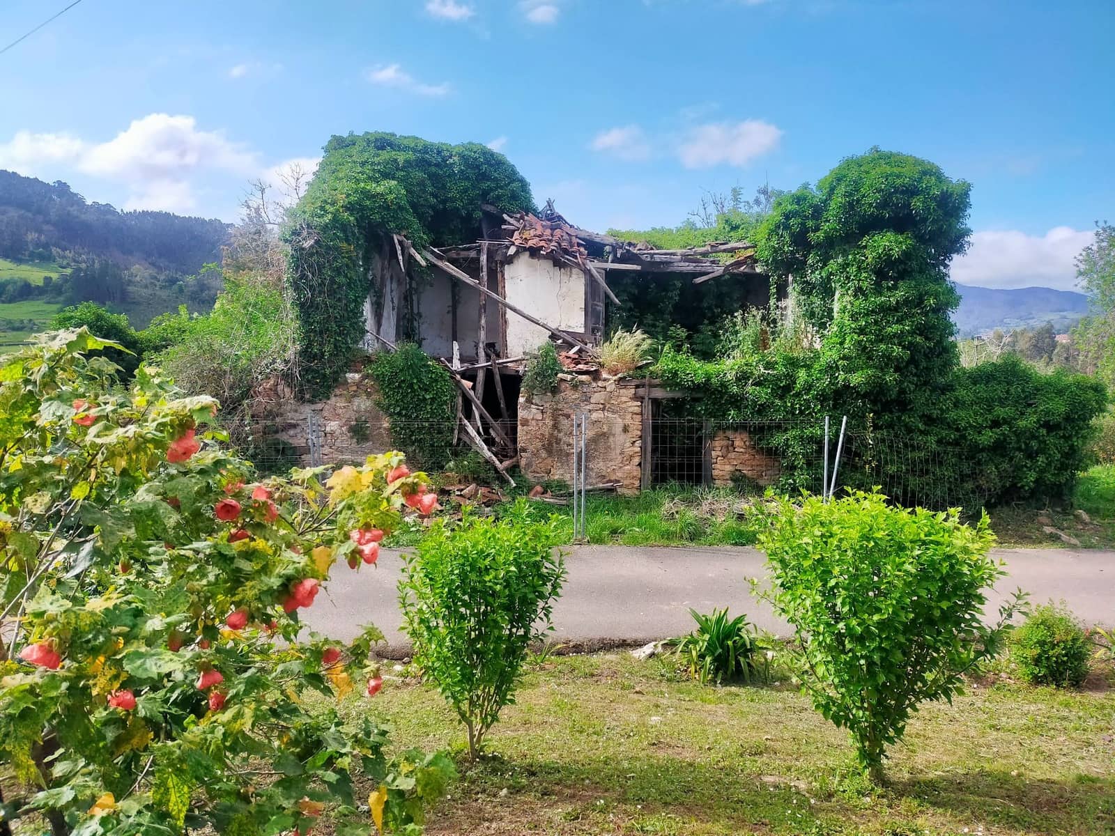 Ubebygd land til salgs i Candamo - € 68 000 (Ref: 8245312)