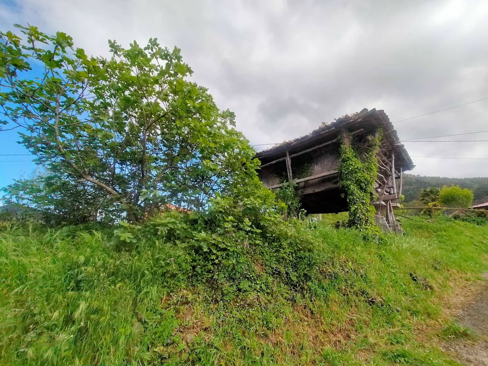 Ubebygd land til salgs i Candamo - € 68 000 (Ref: 8245312)