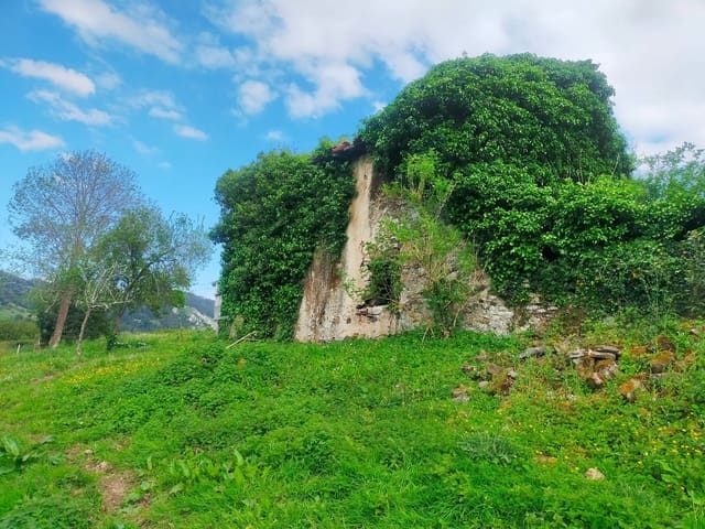 Mark till salu i Candamo - 68 000 € (Ref: 8245312)