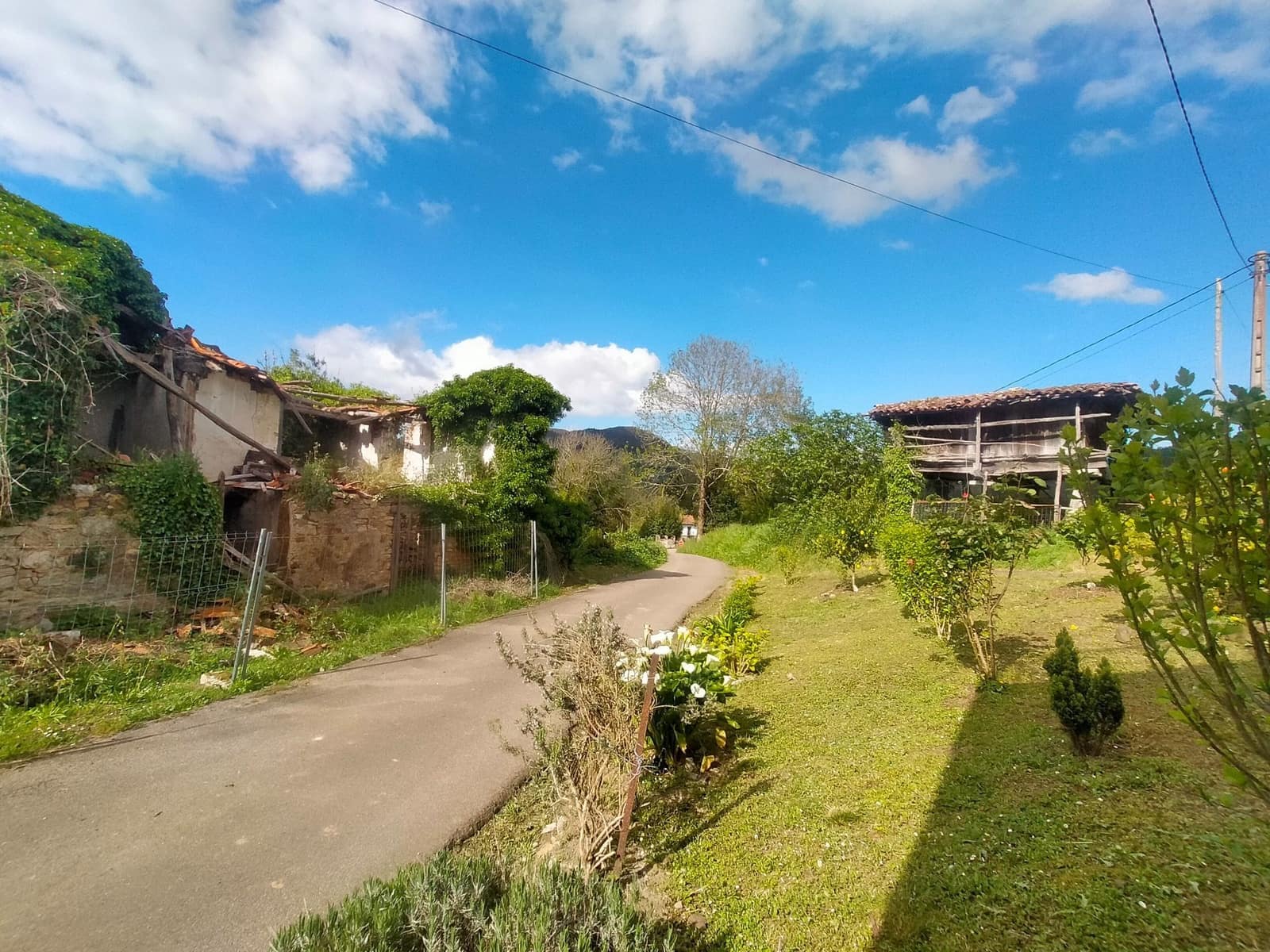 Ubebygd land til salgs i Candamo - € 68 000 (Ref: 8245312)