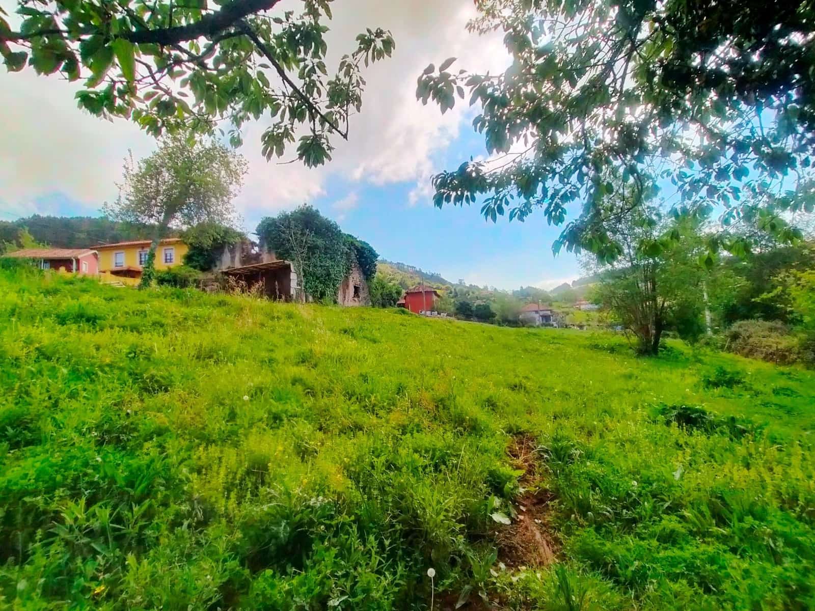 Ubebygd land til salgs i Candamo - € 68 000 (Ref: 8245312)