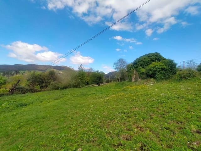 Mark till salu i Candamo - 68 000 € (Ref: 8245312)