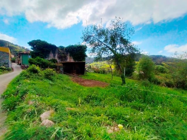 Mark till salu i Candamo - 68 000 € (Ref: 8245312)