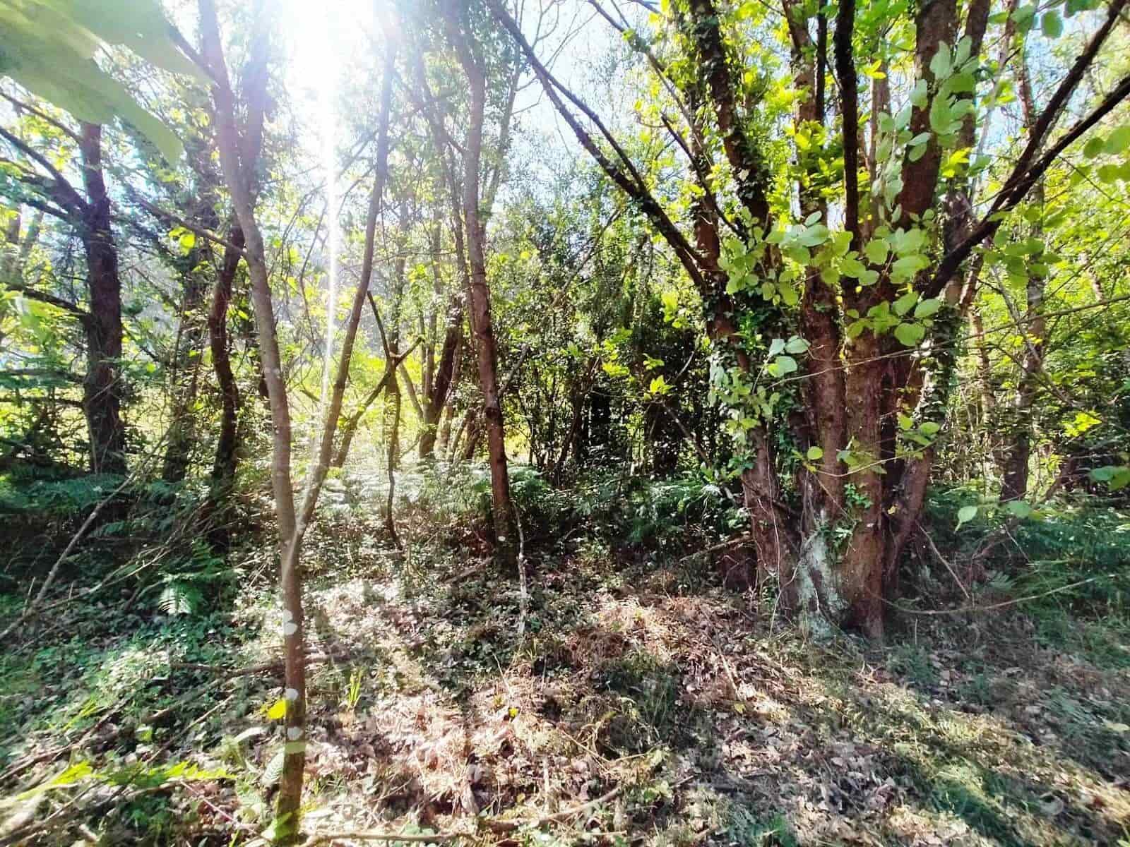 Grond te koop in Pravia - € 72.000 (Ref: 8290247)