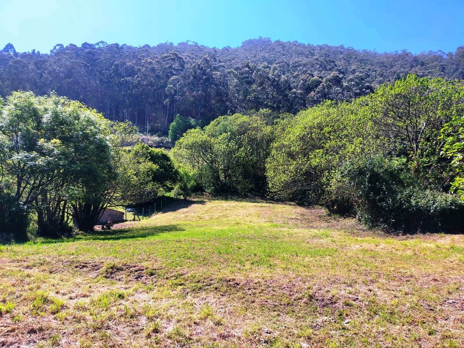 Grond te koop in Pravia - € 72.000 (Ref: 8290247)