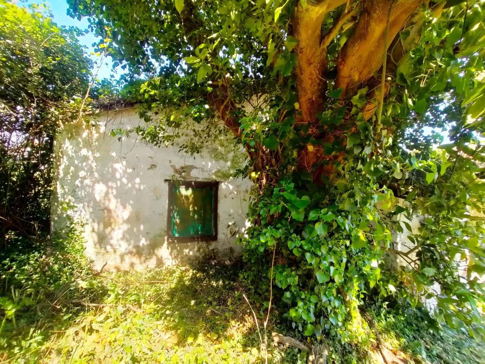 Grond te koop in Pravia - € 72.000 (Ref: 8290247)