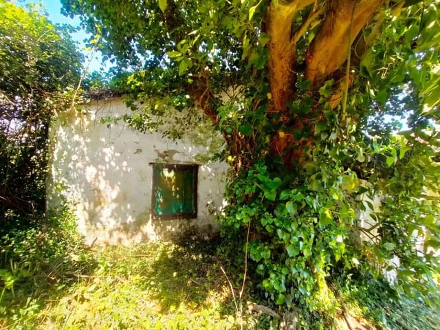 Undeveloped Land for sale in Pravia - € 72,000 (Ref: 8290247)