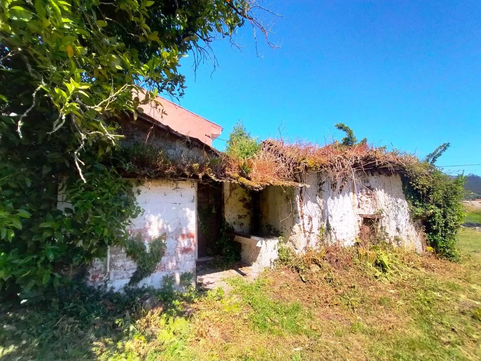 Grond te koop in Pravia - € 72.000 (Ref: 8290247)