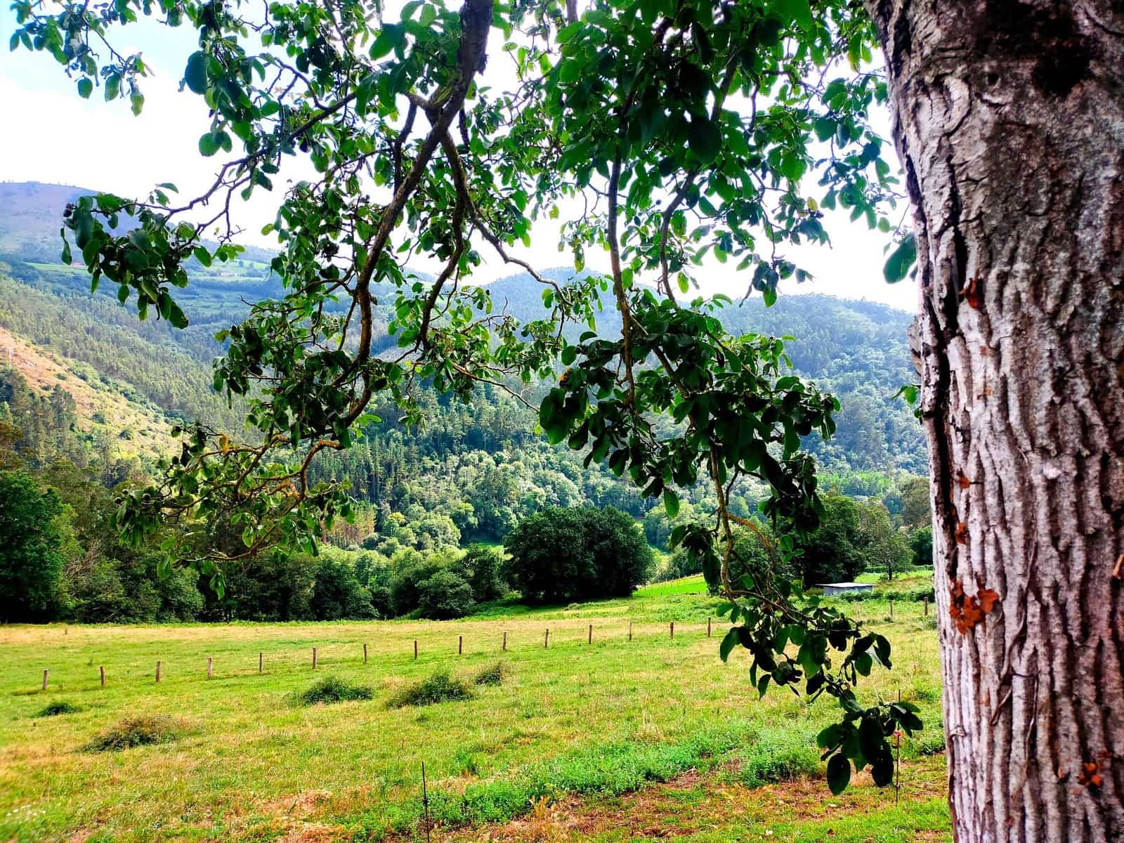 5 sovrum Finca/Hus på landet till salu i Pravia med garage - 275 000 € (Ref: 8475773)