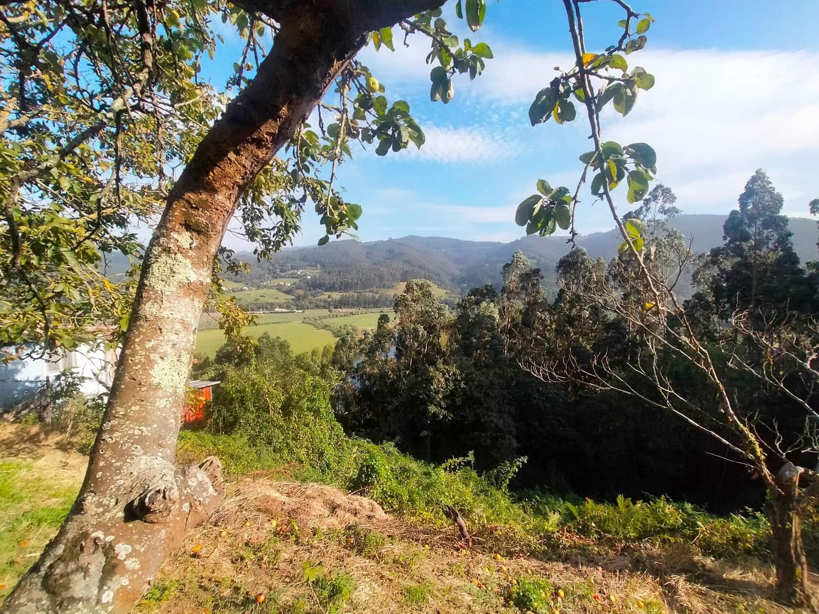 6 soveværelse Villa til salg i Pravia med garage - € 245.000 (Ref: 8567829)