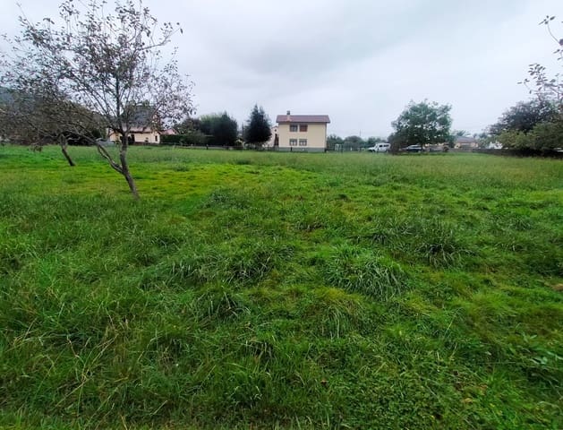 Mark till salu i Cudillero - 85 000 € (Ref: 8577512)