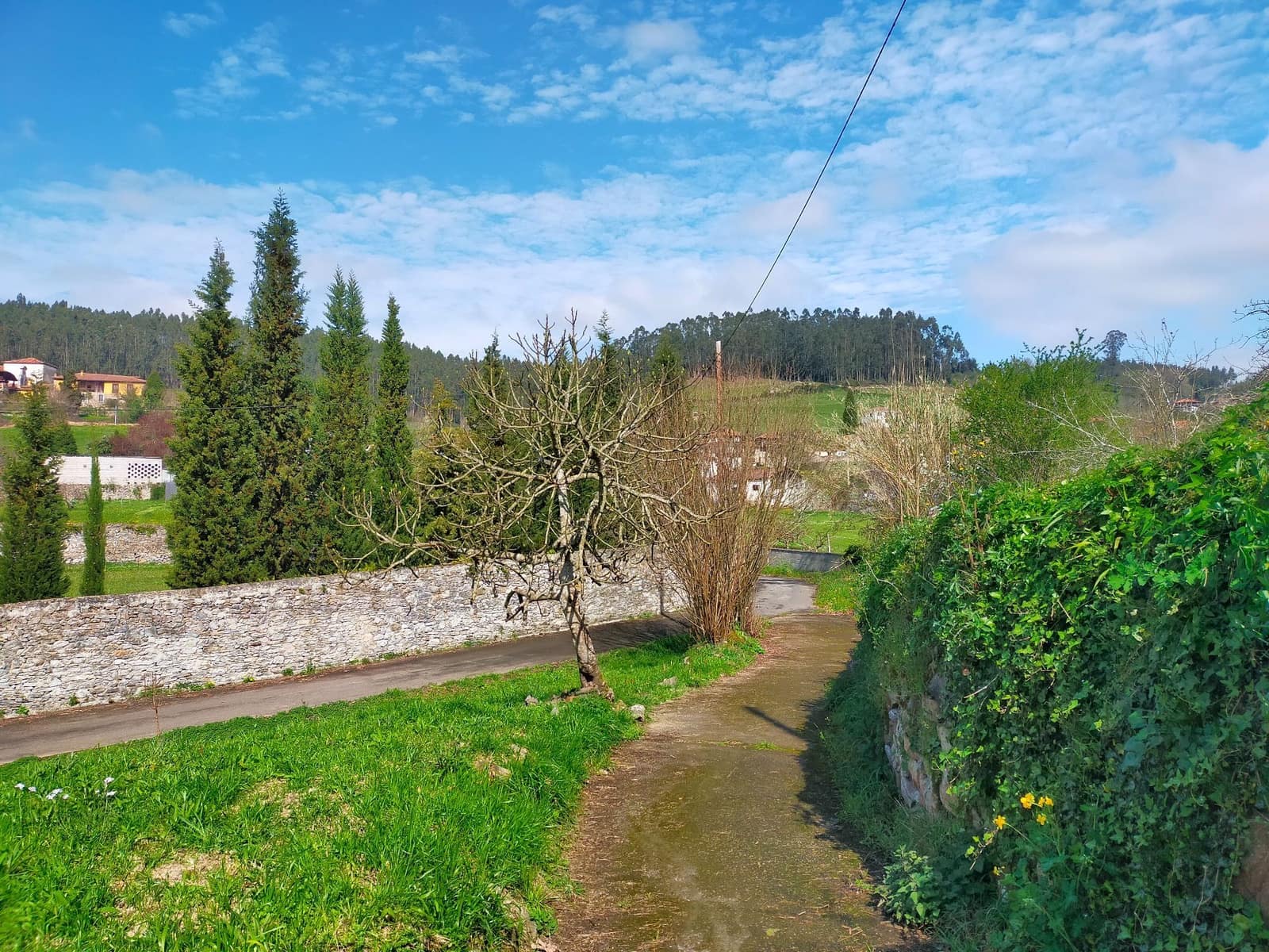 Finca/Herregård til salgs i Pravia - € 15 000 (Ref: 8764734)