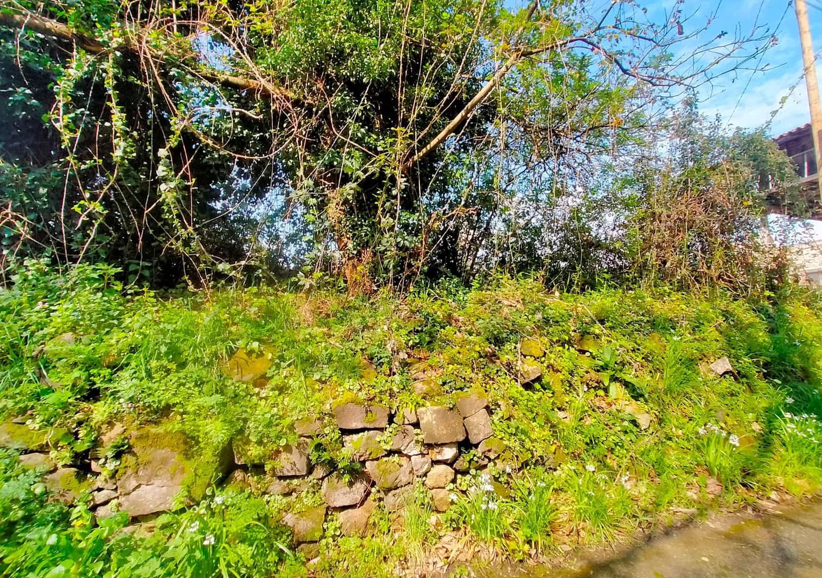 Finca/Herregård til salgs i Pravia - € 15 000 (Ref: 8764734)