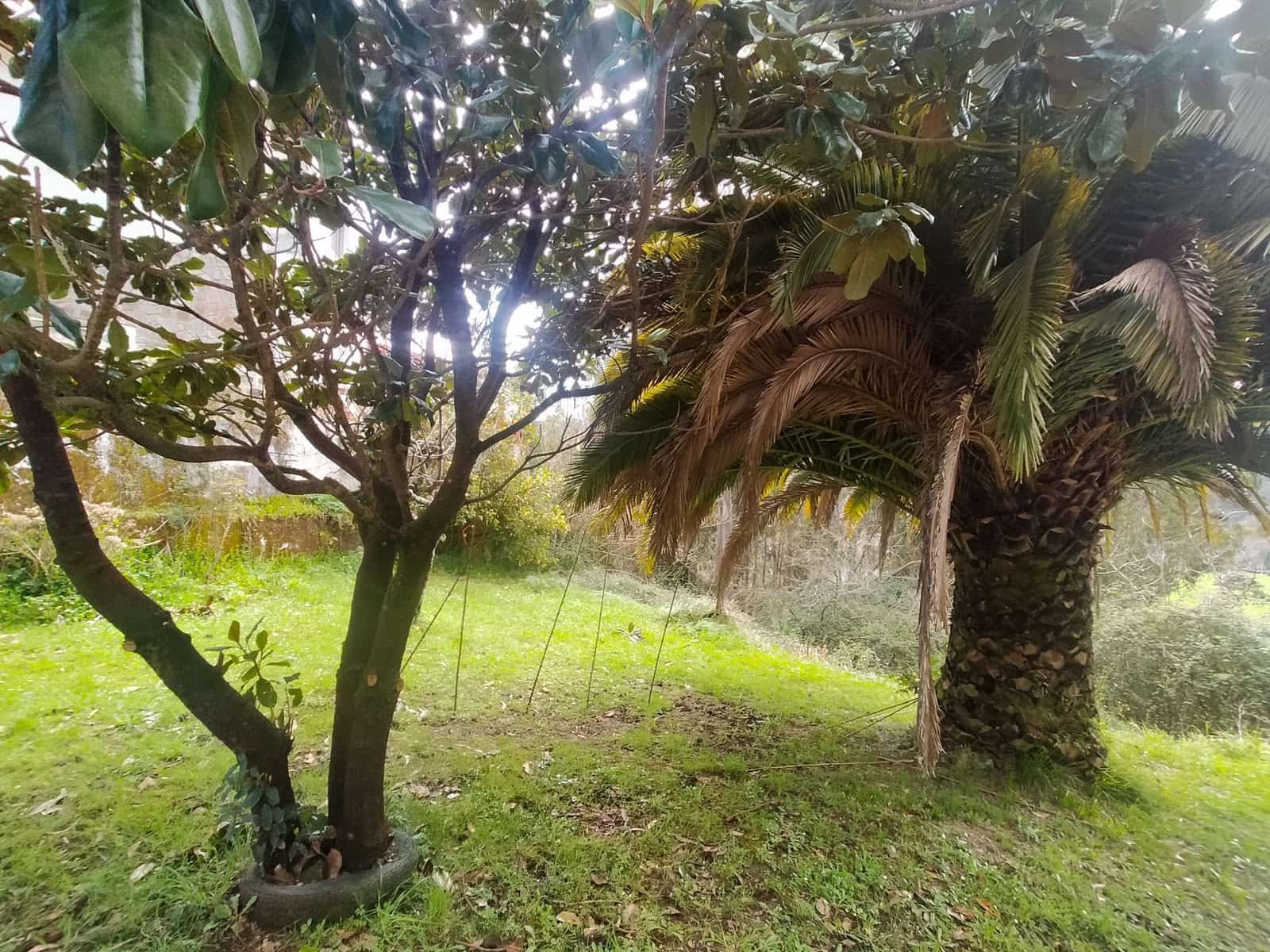 8 soveværelse Villa til salg i Pravia med garage - € 325.000 (Ref: 8887527)