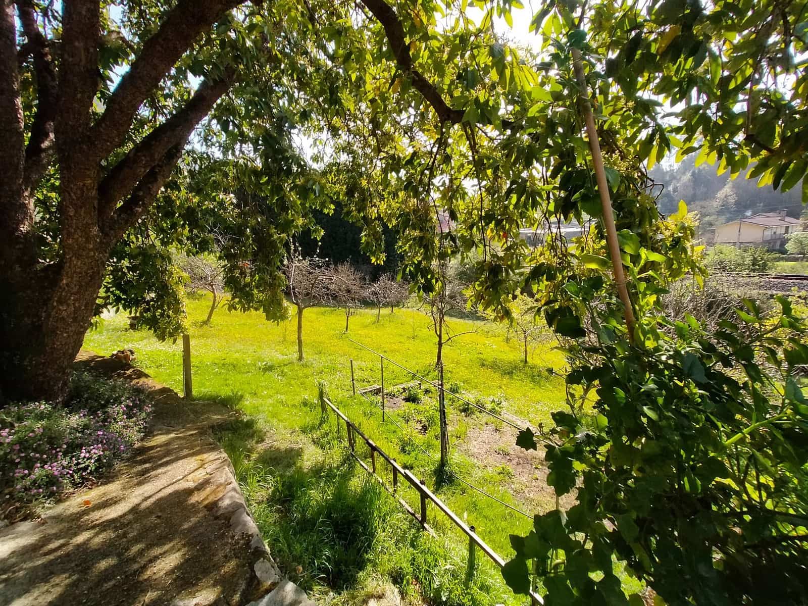 5 soveværelse Villa til salg i Pravia med swimmingpool garage - € 750.000 (Ref: 8926063)