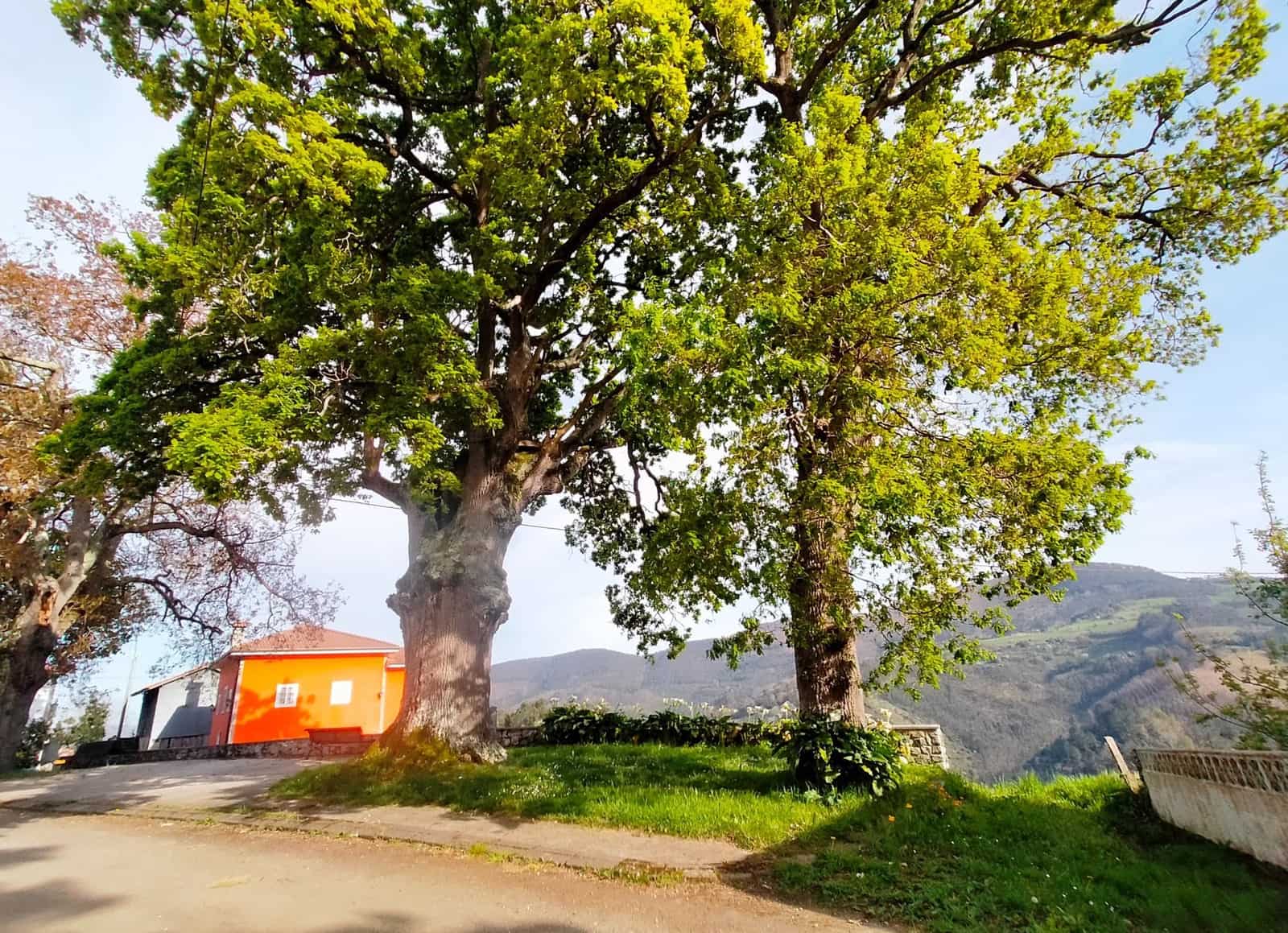 4 soveværelse Semi-Rækkehus til salg i Pravia med garage - € 165.000 (Ref: 8934881)