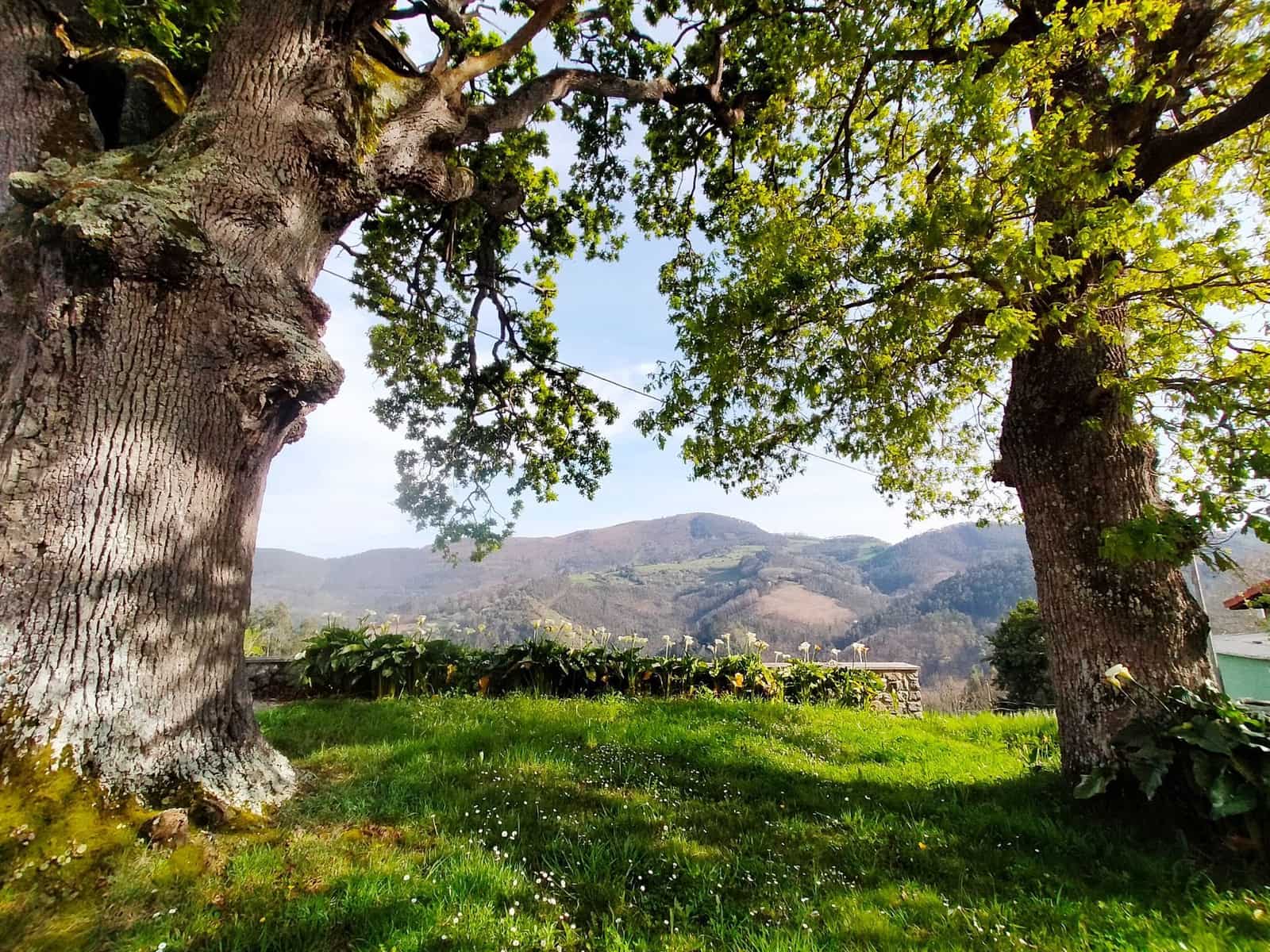 4 soveværelse Semi-Rækkehus til salg i Pravia med garage - € 165.000 (Ref: 8934881)