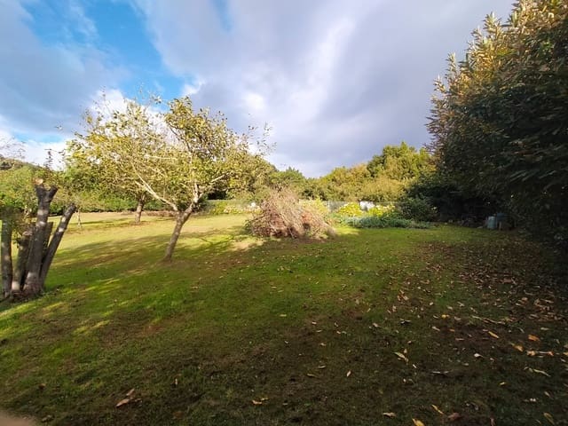 Undeveloped Land for sale in Pravia - € 35,000 (Ref: 9081319)