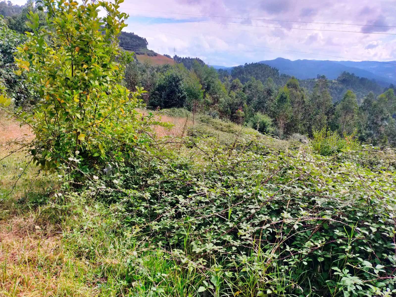 10 slaapkamer Villa te koop in Pravia met garage - € 220.000 (Ref: 9317242)