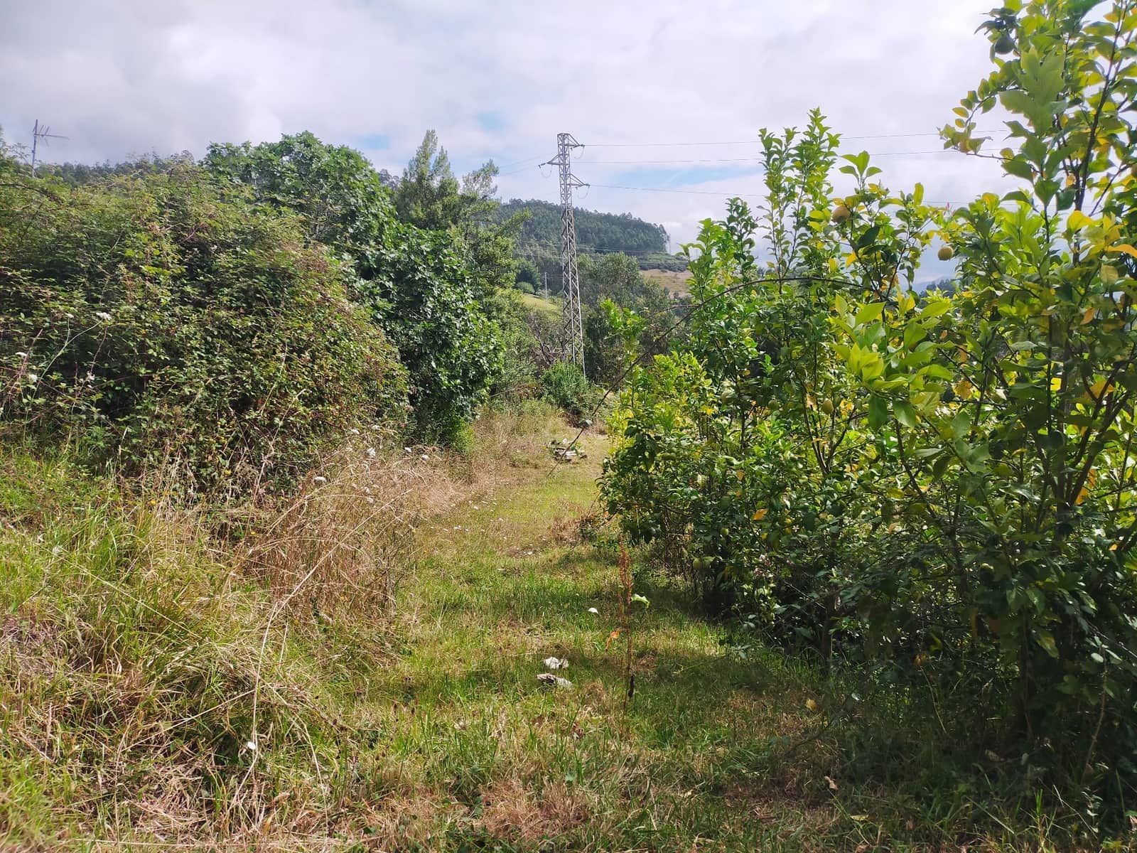 10 slaapkamer Villa te koop in Pravia met garage - € 220.000 (Ref: 9317242)