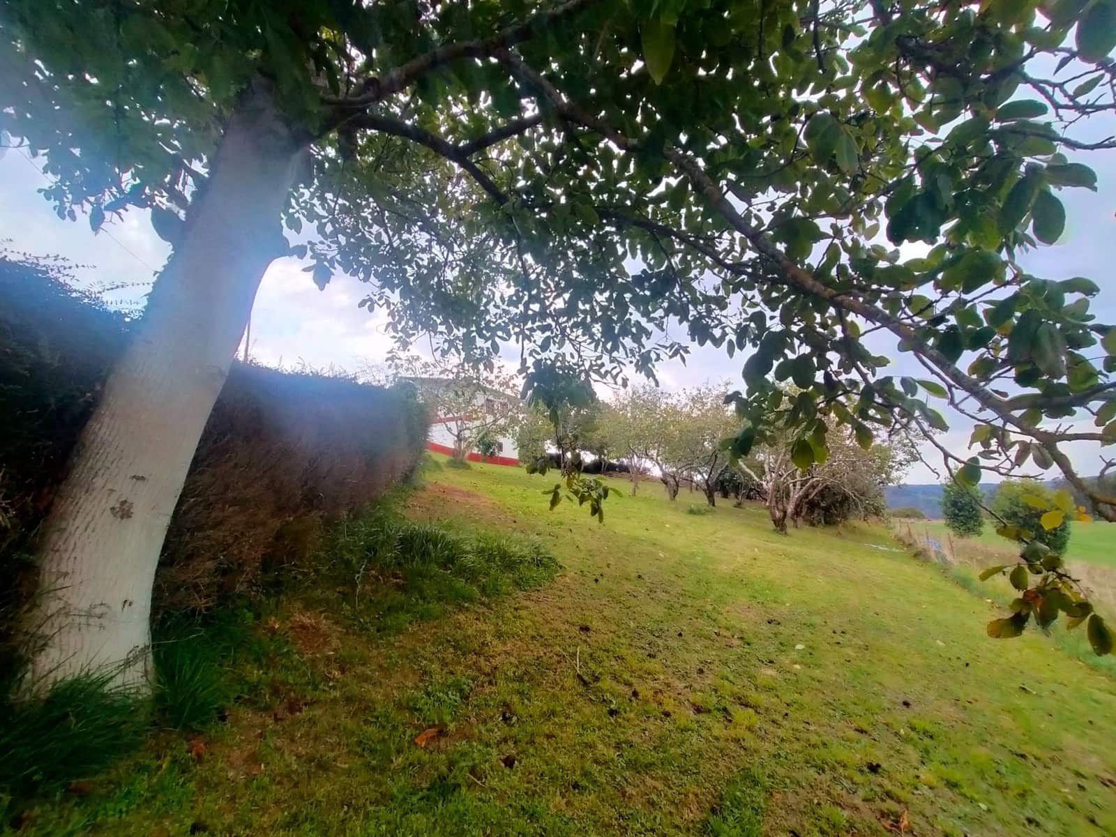 3 soverom Hus til salgs i Pravia - € 170 000 (Ref: 9334405)