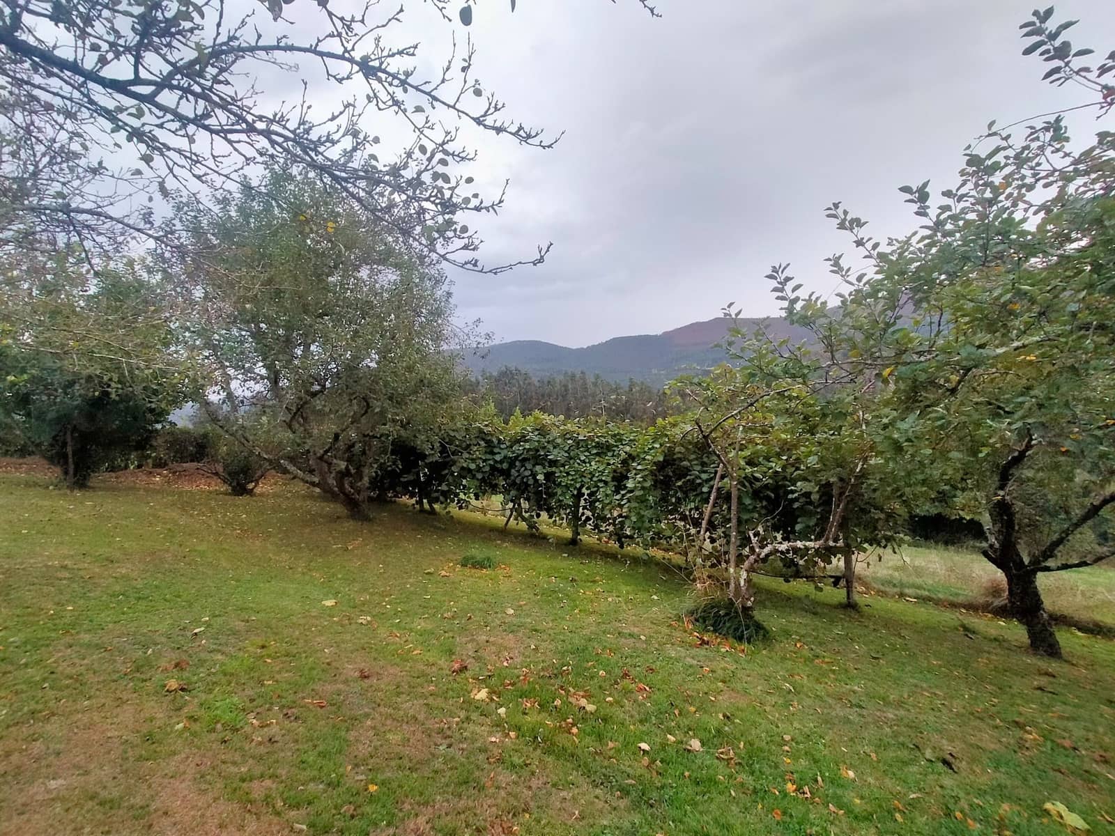 3 soverom Hus til salgs i Pravia - € 170 000 (Ref: 9334405)