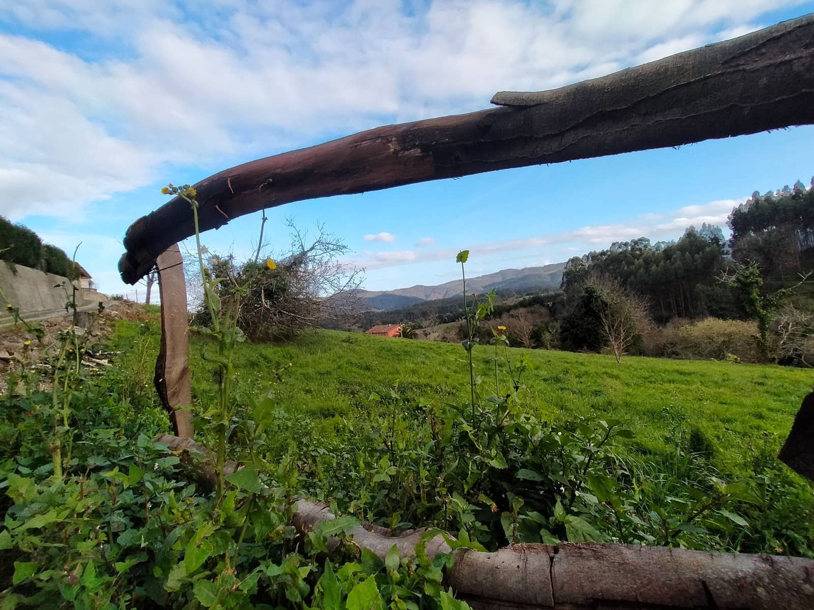 Undeveloped Land for sale in Pravia - € 90,000 (Ref: 9618996)