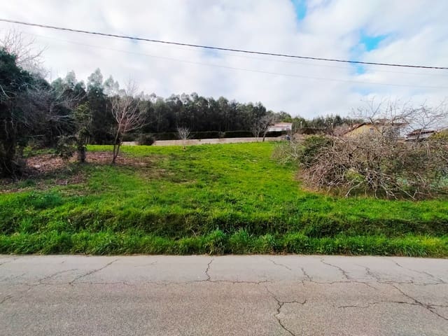 Undeveloped Land for sale in Pravia - € 90,000 (Ref: 9618996)