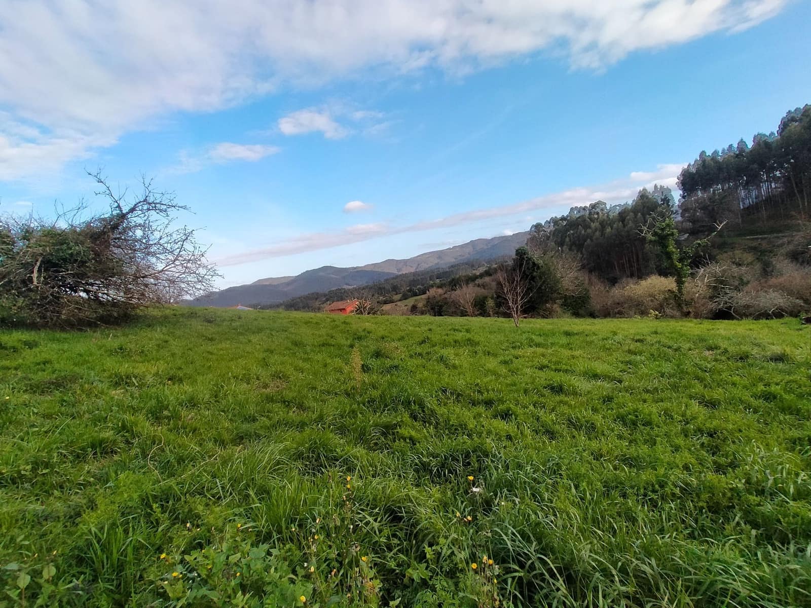 Undeveloped Land for sale in Pravia - € 90,000 (Ref: 9618996)