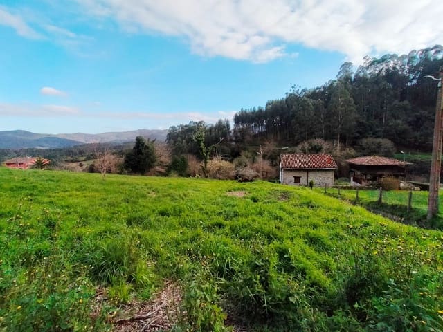 Undeveloped Land for sale in Pravia - € 90,000 (Ref: 9618996)