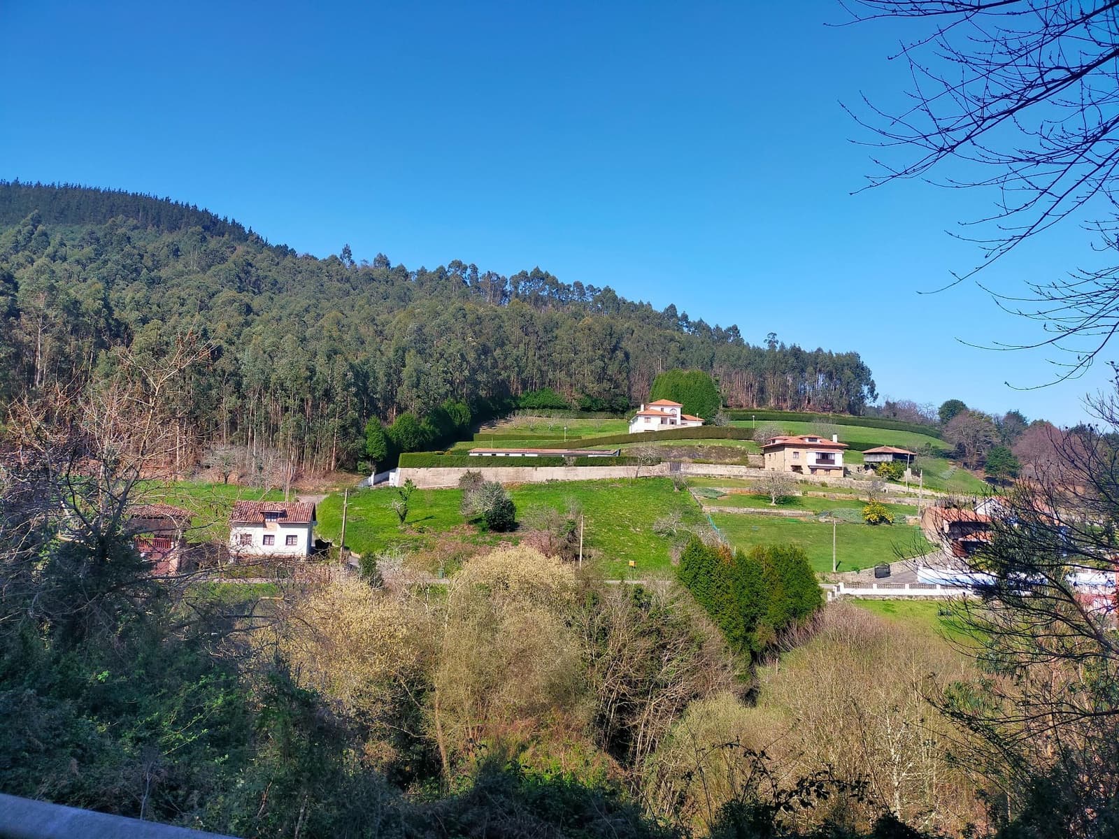 Ubebygd land til salgs i Pravia - € 90 000 (Ref: 9618996)