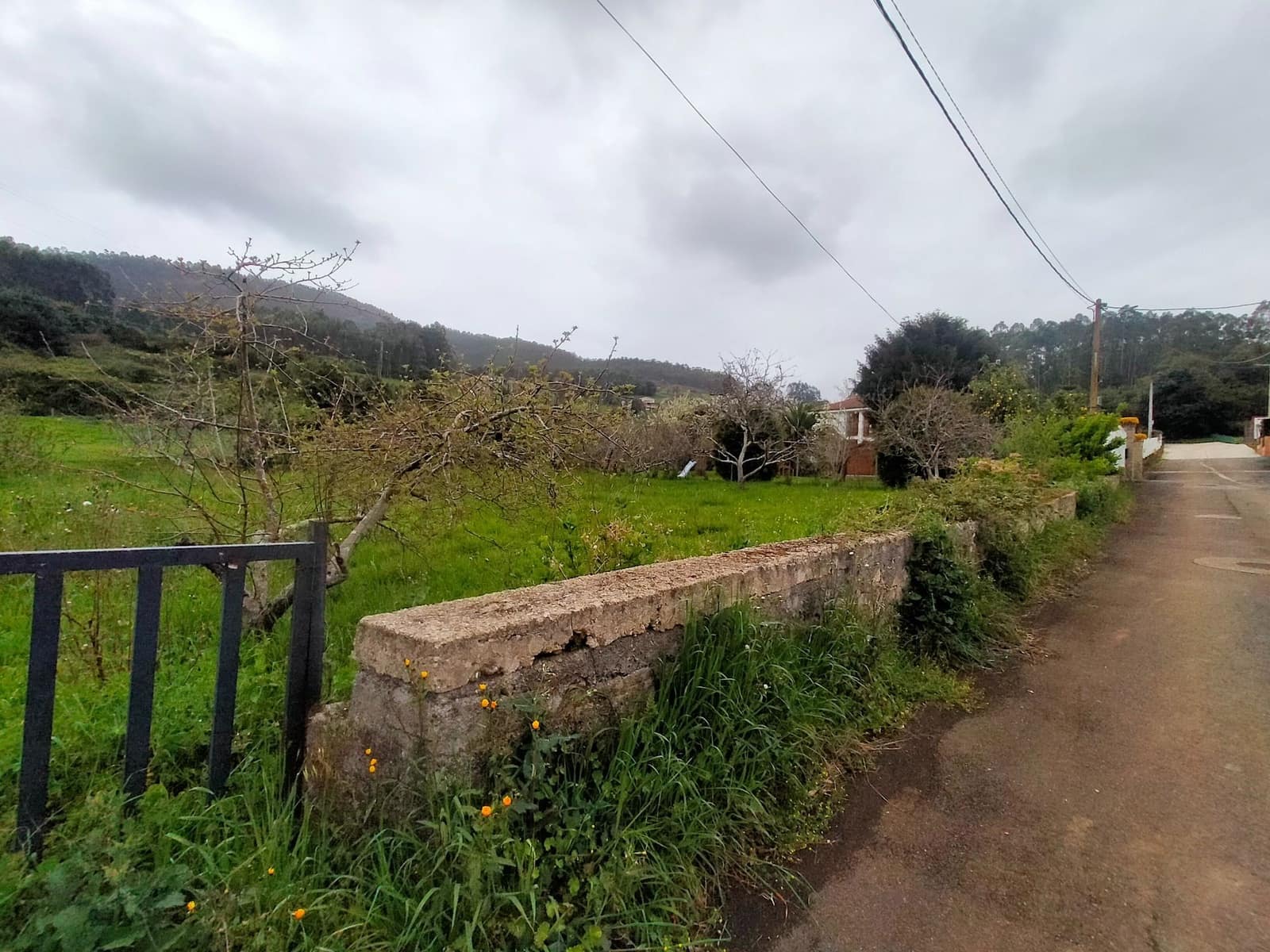 Undeveloped Land for sale in Pravia - € 48,000 (Ref: 9763510)