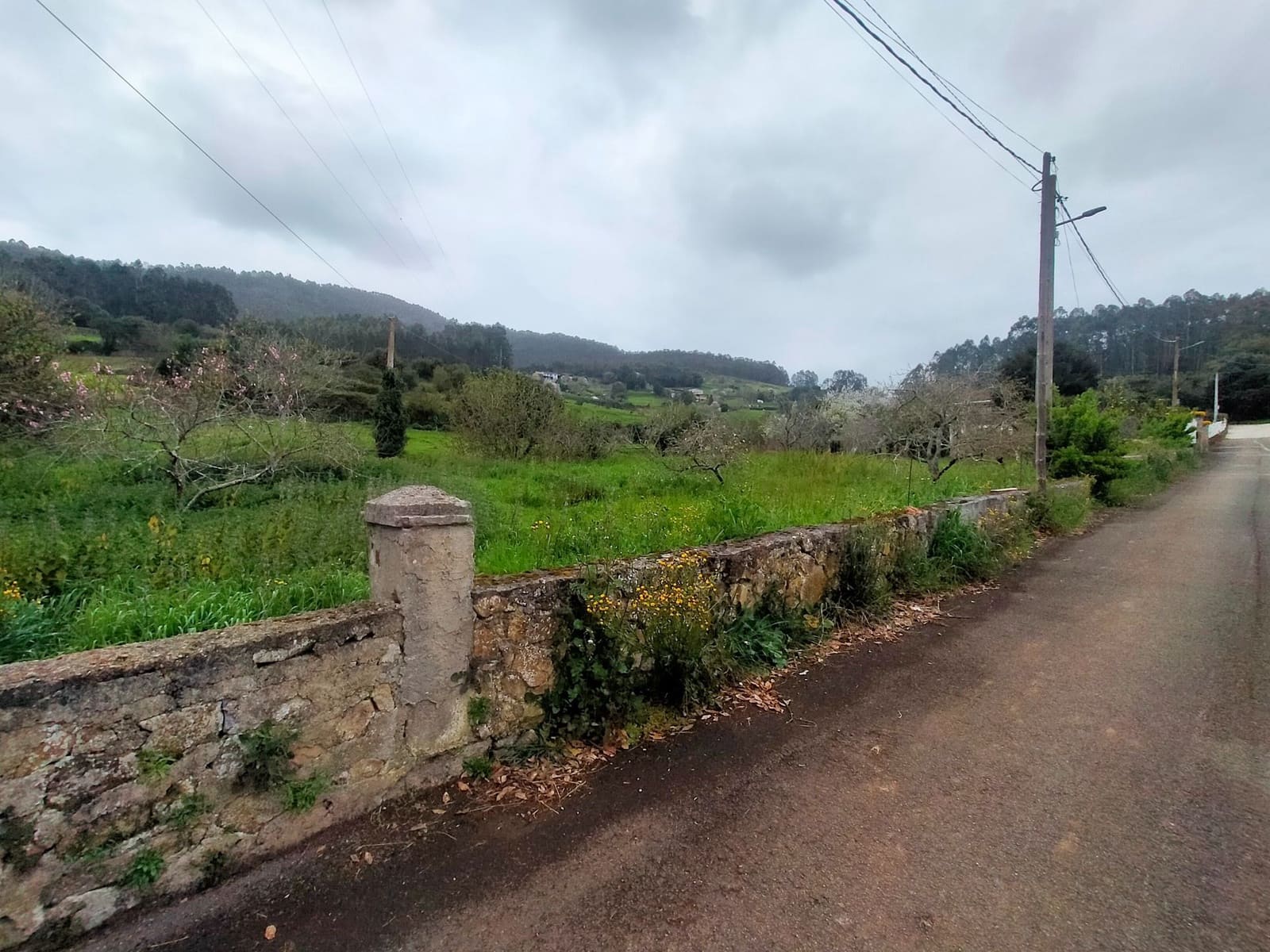 Undeveloped Land for sale in Pravia - € 48,000 (Ref: 9763510)
