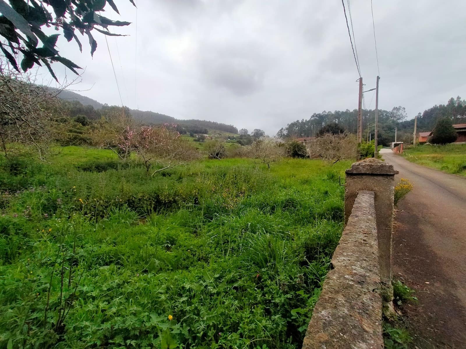 Undeveloped Land for sale in Pravia - € 48,000 (Ref: 9763510)