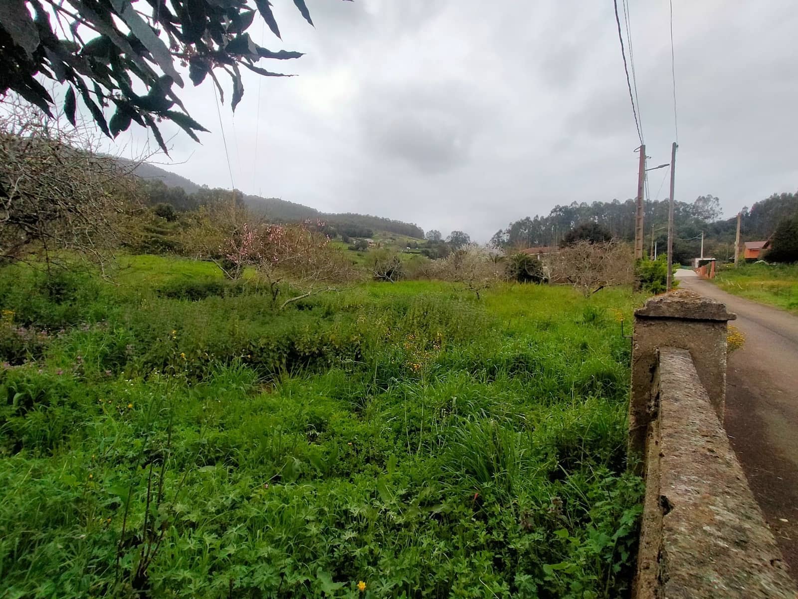 Undeveloped Land for sale in Pravia - € 48,000 (Ref: 9763510)