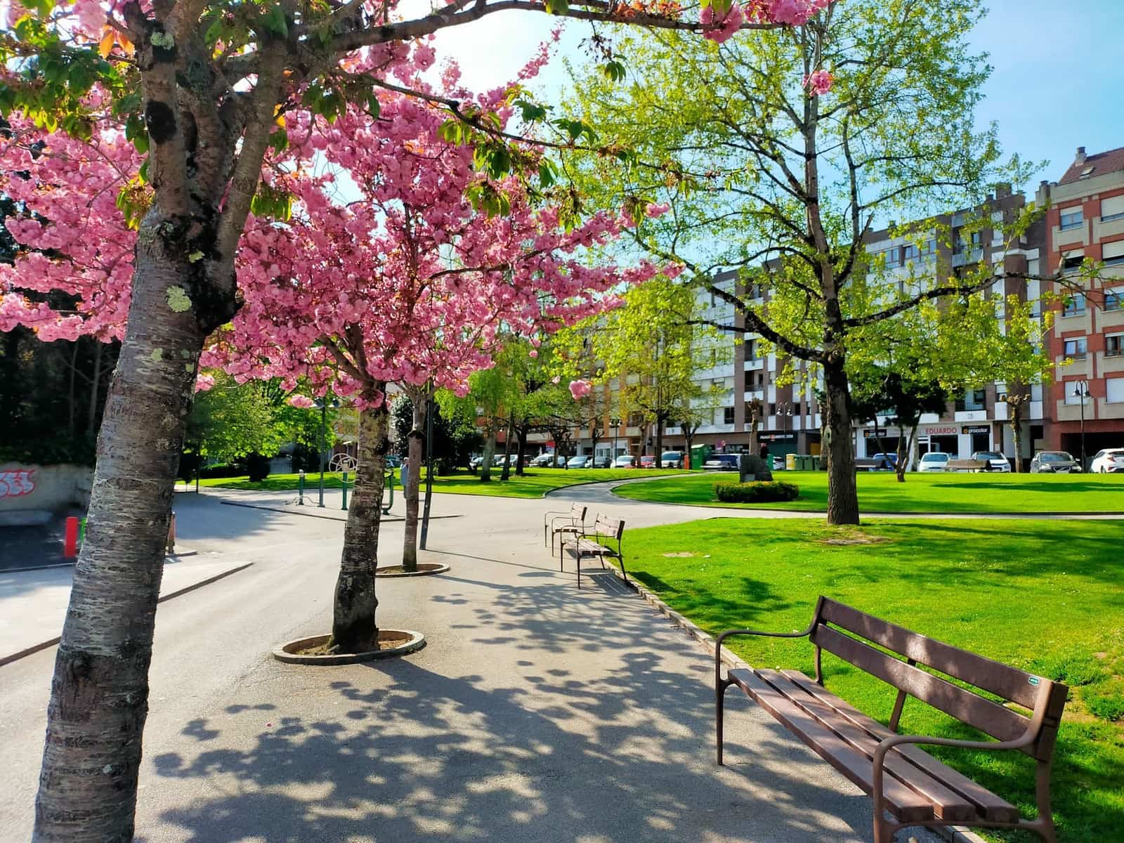 3 bedroom Penthouse for sale in Pravia - € 185,000 (Ref: 9794105)