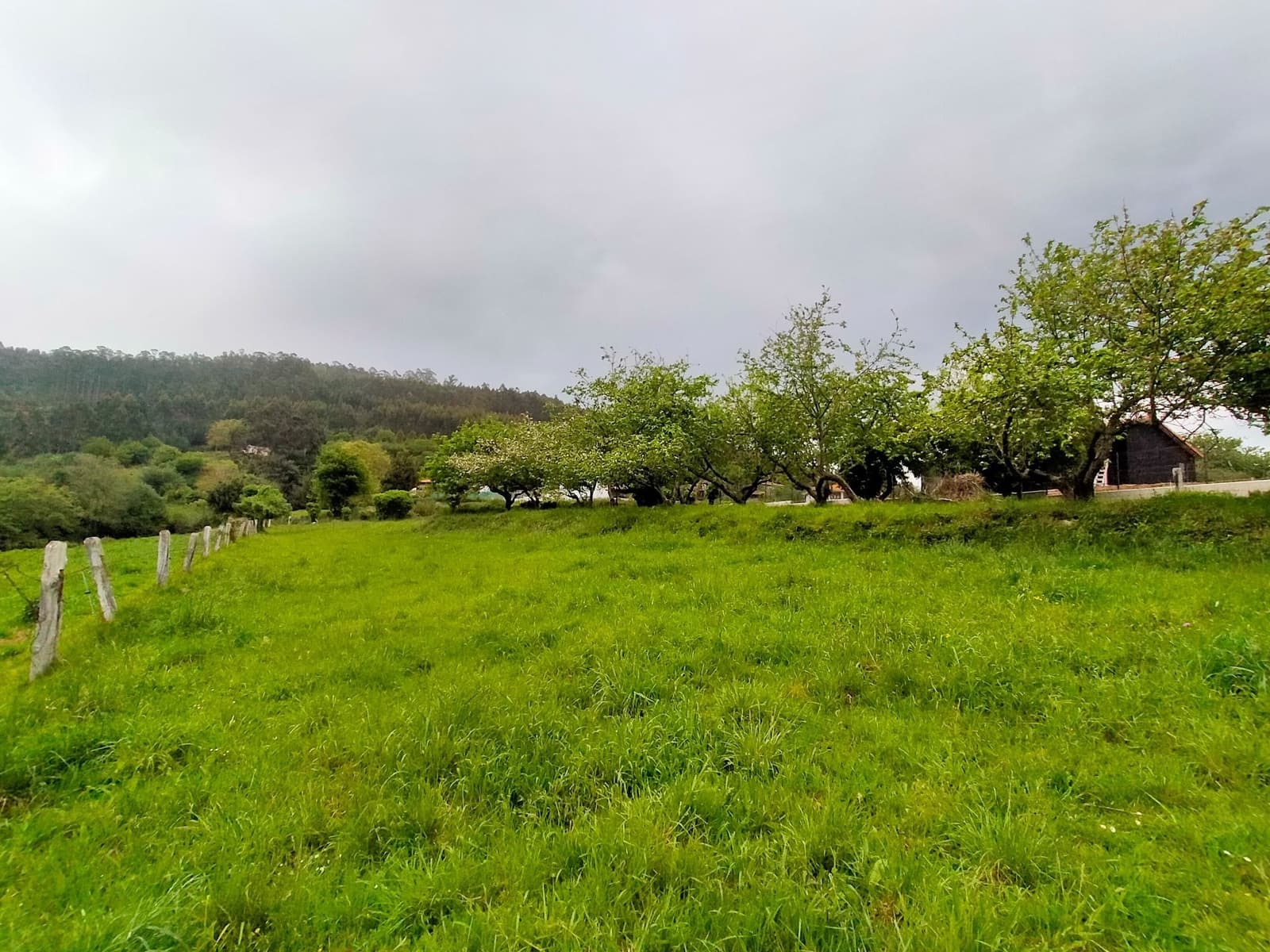 Teren niezagospodarowany na sprzedaż w Pravia - 45 000 € (Ref: 9815594)