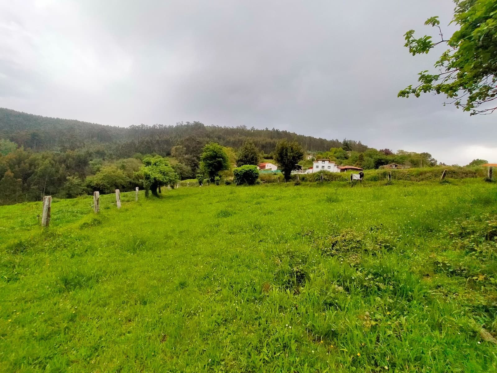 Teren niezagospodarowany na sprzedaż w Pravia - 45 000 € (Ref: 9815594)