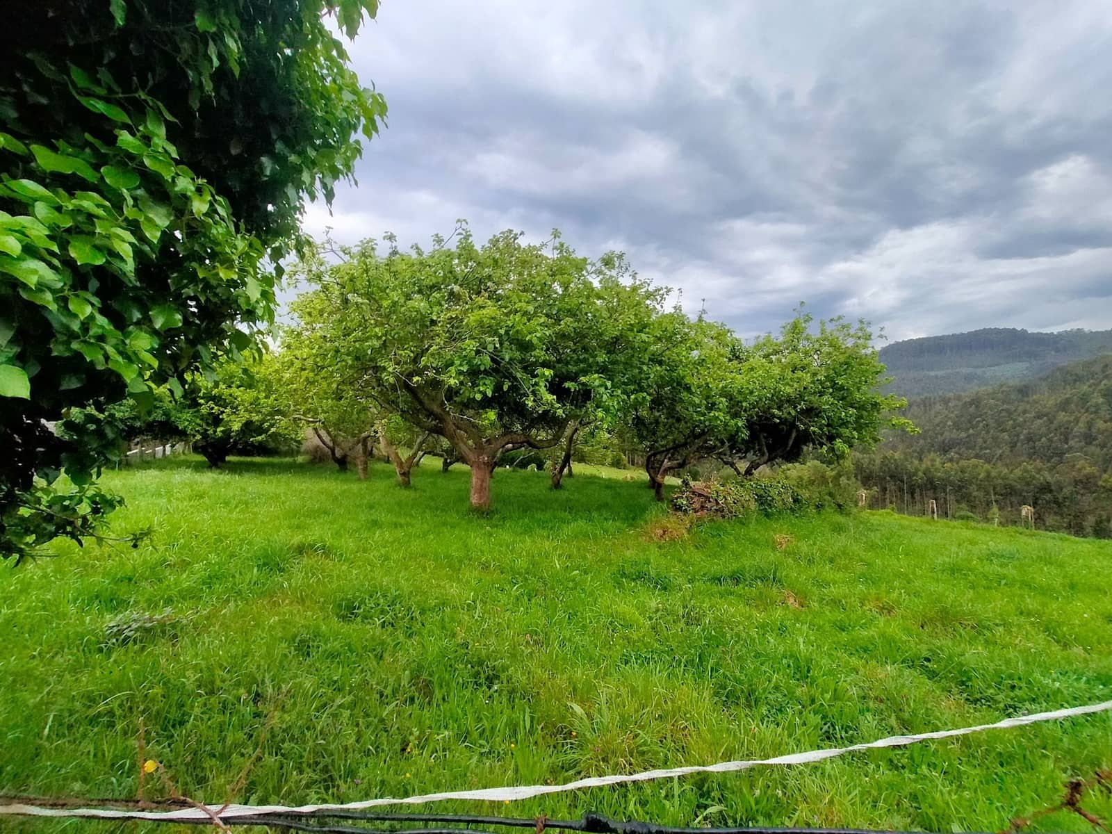 Teren niezagospodarowany na sprzedaż w Pravia - 45 000 € (Ref: 9815594)