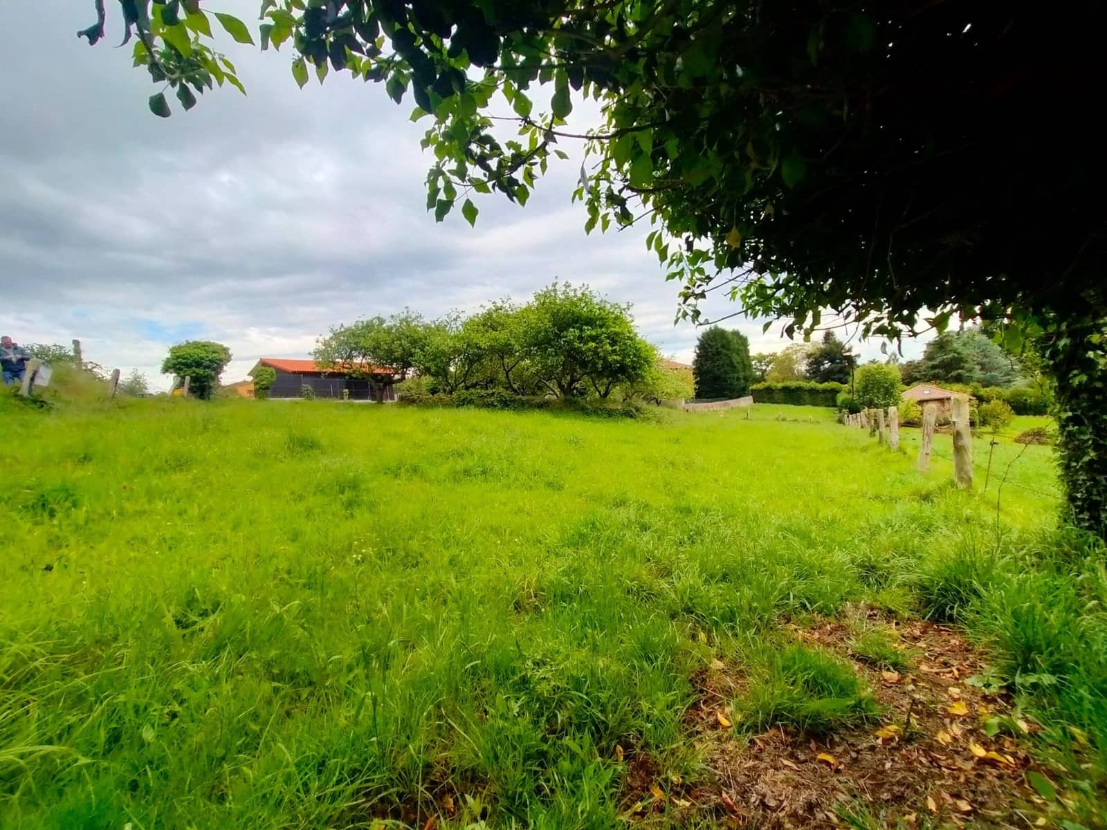 Teren niezagospodarowany na sprzedaż w Pravia - 45 000 € (Ref: 9815594)