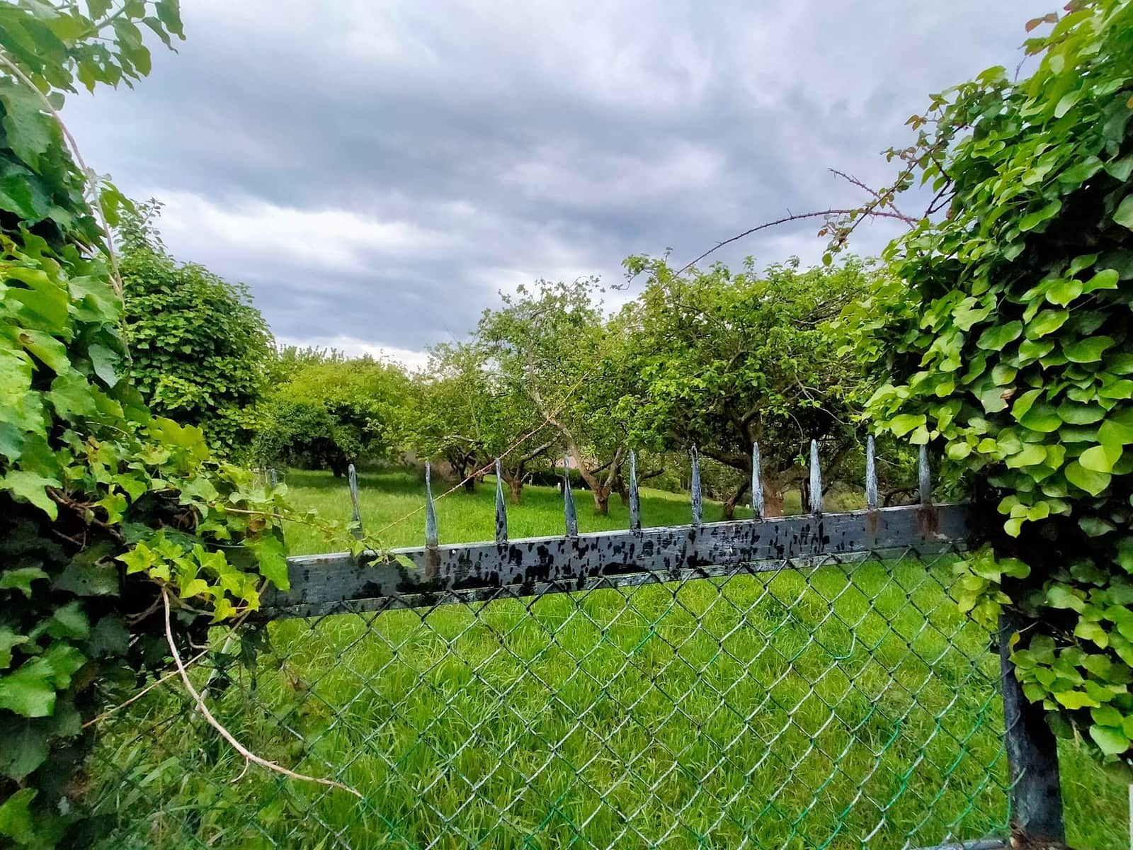 Teren niezagospodarowany na sprzedaż w Pravia - 45 000 € (Ref: 9815594)