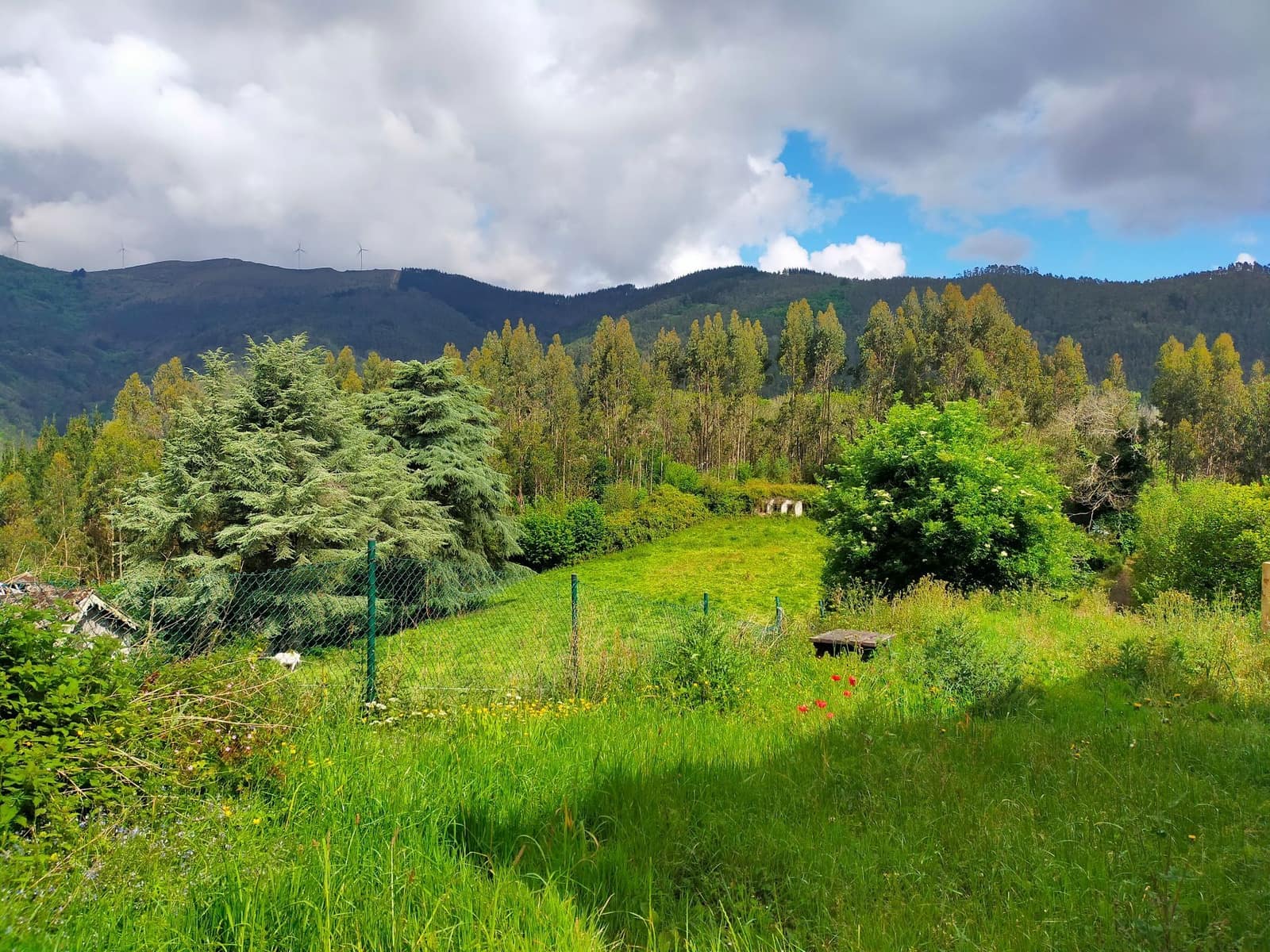 2 quarto Quinta/Casa Rural para venda em Salas com garagem - 135 000 € (Ref: 9830740)