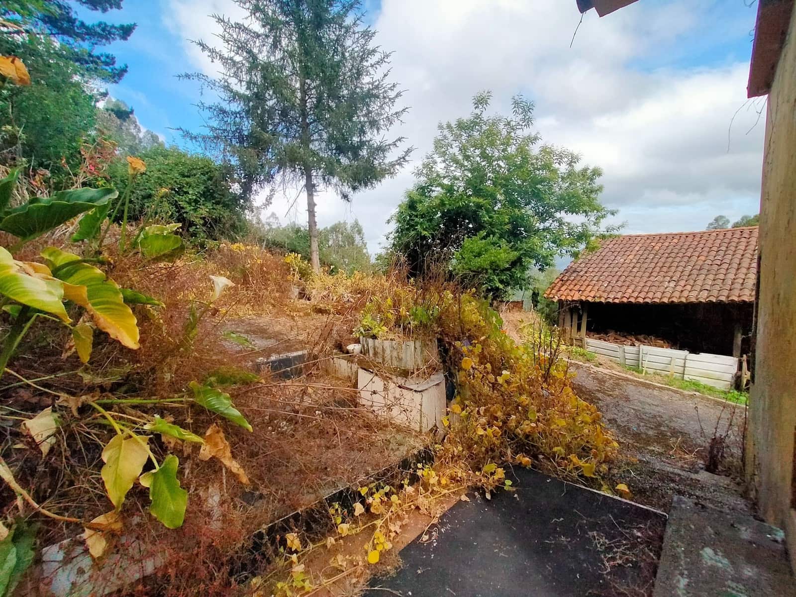 3 Zimmer Haus zu verkaufen in Pravia - 52.000 € (Ref: 9900079)