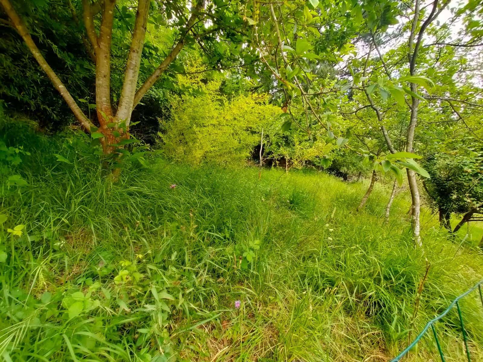 3 Zimmer Haus zu verkaufen in Pravia - 52.000 € (Ref: 9900079)