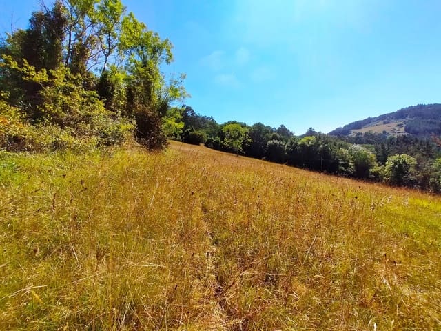 Terre non Aménagée à vendre à Candamo - 56 000 € (Ref: 9945126)