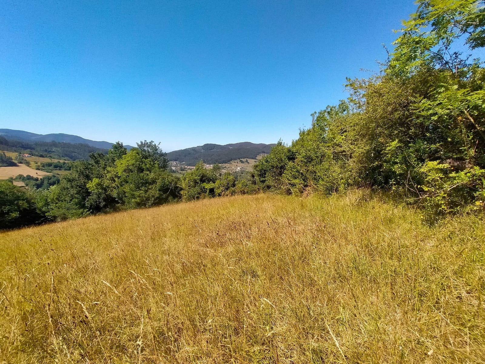 Terre non Aménagée à vendre à Candamo - 56 000 € (Ref: 9945126)